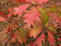 dscn1317